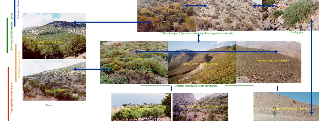 Degradation model for Crete - Hellas