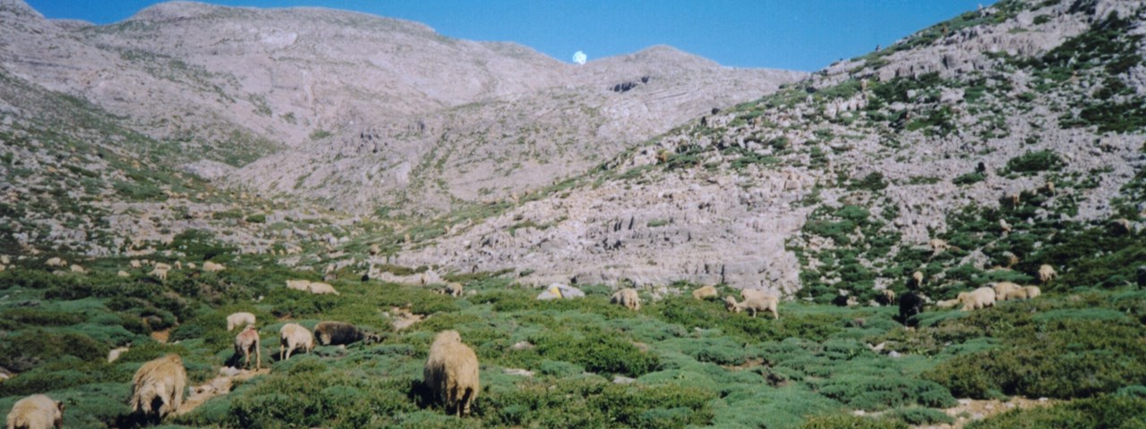 Κρήτη